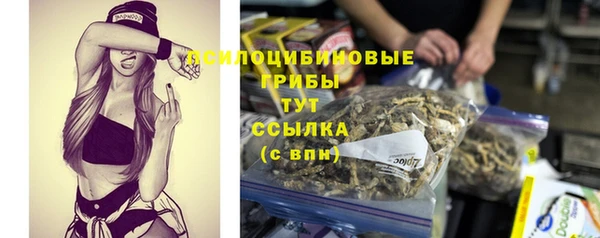 герыч Арсеньев