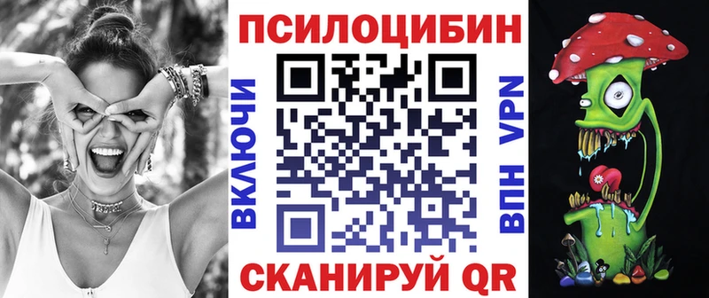 Галлюциногенные грибы Psilocybe  купить закладку  Свирск 